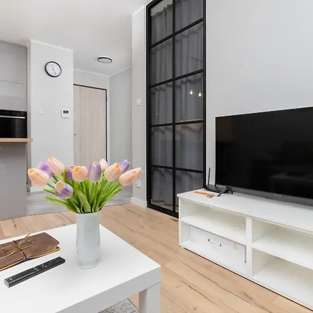 Sea Corner Sucha With Free Parking By Renters 格但斯克